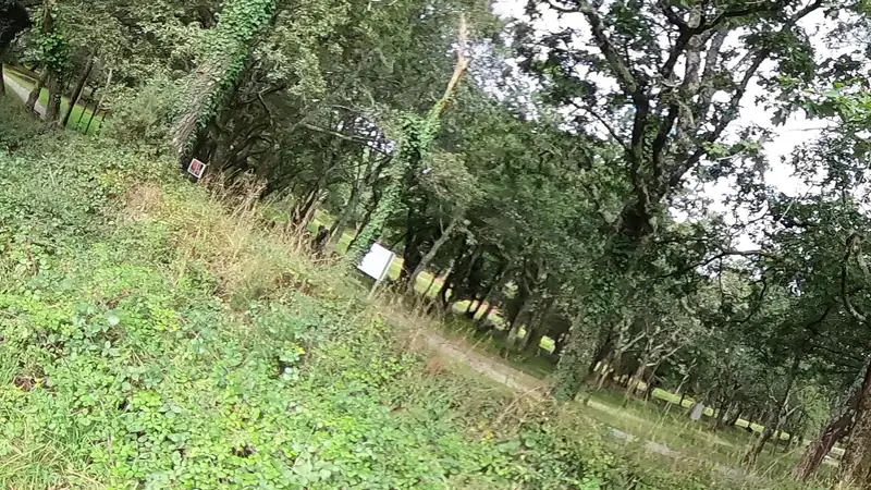 Vue de la rue vers Street workout Ploemel – Impasse de la Forêt